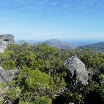 Tafelberg, Kaapstad
